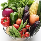 野菜は【国産野菜】にこだわって使用しております。※お写真はイメージです。