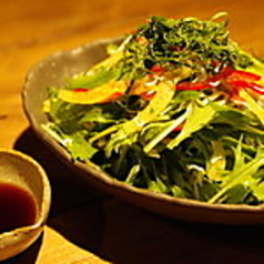 九条葱と京菜のサラダ