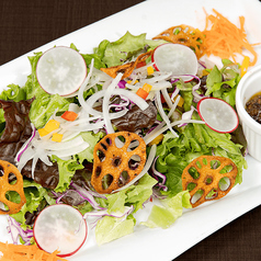 Bonitoグリーンサラダ