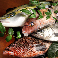 伊勢志摩・熊野灘直送 新鮮な活魚・鮮魚問屋直営店！