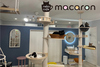 nekocafe macaron ネコカフェマカロン