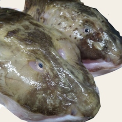 和楽 酔竹のコース写真