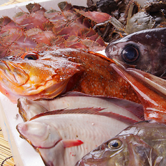 地魚屋台　江坂豊丸は魚に情熱を注いでいます！