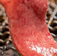 焼肉 福 名駅西口店のコース写真