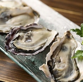 牡蠣は1個から注文可能♪本日の産地はスタッフまでお声かけくださいませ♪