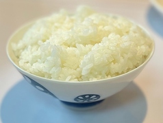 ライス