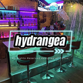 HYDRANGEA ハイドランジア OUTDOOR DININGBARの詳細