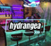 HYDRANGEA ハイドランジア OUTDOOR DININGBARの画像