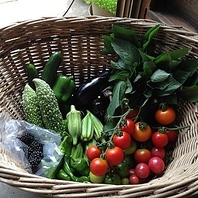 自然が育んだ、至福の野菜を味わう！