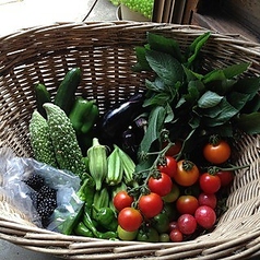 自然が育んだ、至福の野菜を味わう！