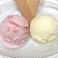 選べる！２色のアイスクリーム
