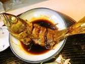 三島市 きふねのおすすめ料理2