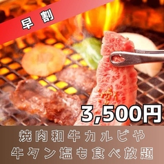 焼肉 ホルモン座 ちからや総本店のコース写真