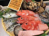 その時季の鮮魚をおすすめで