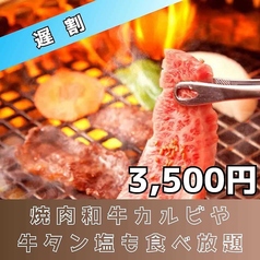 焼肉 ホルモン座 ちからや総本店のコース写真