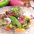 料理メニュー写真 新鮮有機野菜盛りサラダ