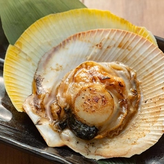 鹿児島産 ツキヒガイ醤油バター焼き
