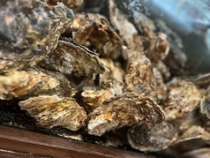 居酒屋 道後 鯛将のおすすめポイント1