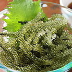 なんと言っても新鮮！1番人気のメニュー「海ぶどう」♪けダレは三杯酢・わさび・青じそをお好みで！