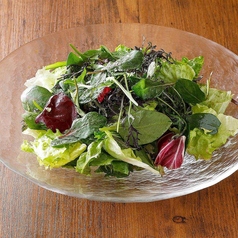 彩り野菜のグリーンサラダ