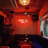 the Modern Lovers ザ モダンラヴァーズの雰囲気3