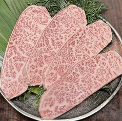 クラシタ