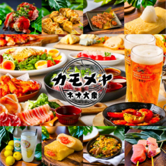 ネオ大衆カモメヤ小山店特集写真1