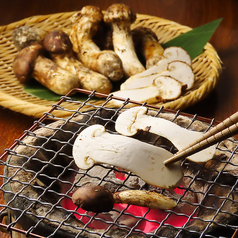 お酒と飯たしなみ