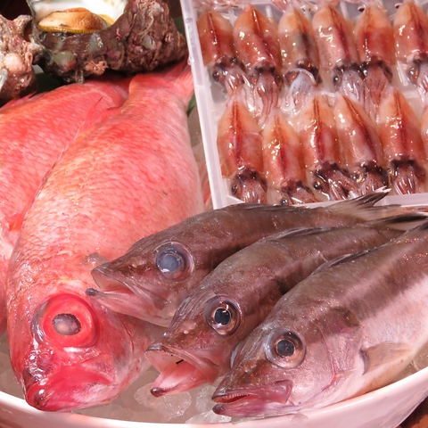 うんめ魚が食いてぇ 駅前漁港 本店 新潟 居酒屋 刺身 Goo地図