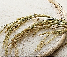 酢飯に使用するのはこだわりの道産米！