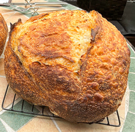 自家製小麦の酵母で作るサワードウパン