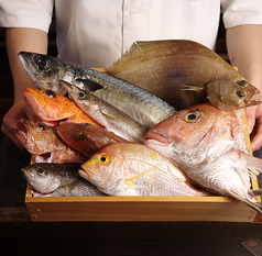長浜市場の競りから直送。鮮度抜群の旬魚を堪能