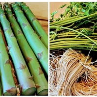 美味しい季節のお野菜