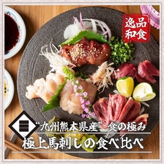 【九州熊本県産】とろける極上馬刺しをたっぷり堪能！