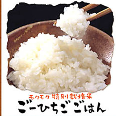 モクモク特別栽培米ごーひちごごはん