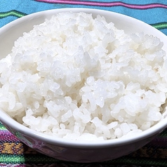 白ご飯