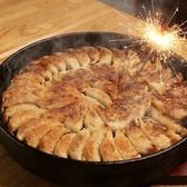 【お誕生月特典♪】事前予約限定★名物「ひと口餃子」歳の数だけプレゼント！博多どんたく不動の人気メニュー「博多名物鉄鍋餃子」！お誕生月にご来店の方には花火付きで“歳の数だけ”プレゼント！クーポンでぜひご予約ください◎記憶に残る１日をお手伝いいたします！※当日身分証明書のご提示をお願いしております。