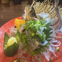 【活魚貝】鰯のたたき