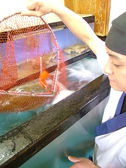 生け簀の中で泳ぐ魚を取りだし、活き造りにします！この鮮度が魚鮮の旨さの秘訣です。お店に来たなら必ず味わって頂きたい一品です♪