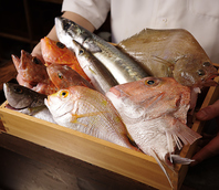 長浜市場の競りから直送。鮮度抜群の旬魚を堪能