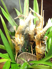 鮨 懐石 京料理 卓楽の写真