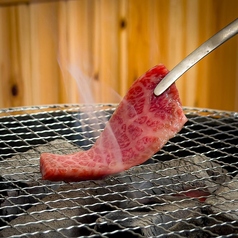 炭火焼肉 だるまの特集写真