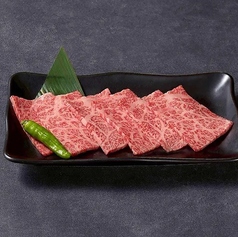 上赤身