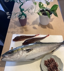 金太郎 海鮮居酒屋のコース写真