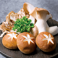 きのこ焼き盛り合わせ