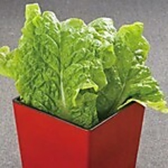 【野菜　各種】