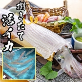 もつ鍋とイカの活造り游魚庵 福岡本店のおすすめ料理3