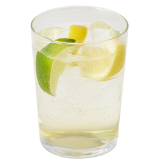 レモン&ライムサワー