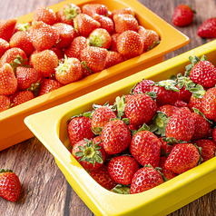 テラスレストラン ヒルトン成田のコース写真