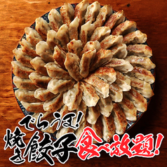 野菜たっぷり「でらうま焼き餃子」も食べ放題！